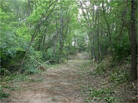 Land Clearing