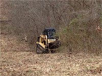 Land Clearing