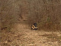 Land Clearing