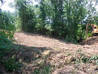 Land Clearing for Lake