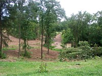 Land Clearing for Lake