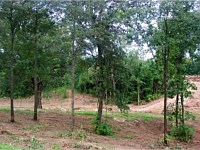 Land Clearing for Lake