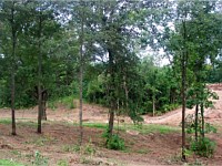 Land Clearing for Lake