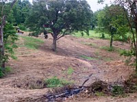 Land Clearing for Lake