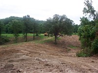 Land Clearing for Lake