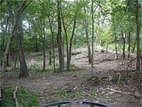 Land Clearing