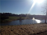 Pond or Lake Development