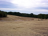 Pond or Lake Development