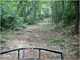 Land Clearing