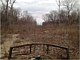 Land Clearing