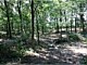 Land Clearing