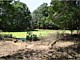 Land Clearing