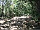 Land Clearing