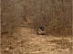 Land Clearing