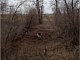 Land Clearing