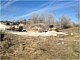 Land Clearing